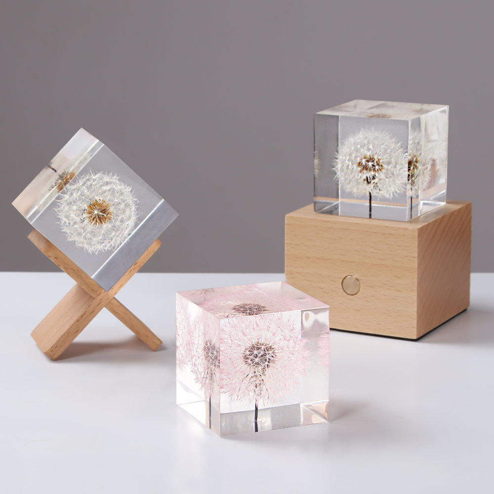 Flower Preservation Resin - Dandelion preservado flores frescas e flores