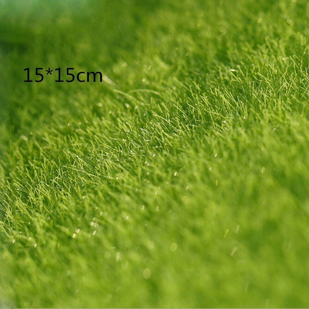Decoração Ecológica para Jardi - Terrarium Moss Art avaliação e preço