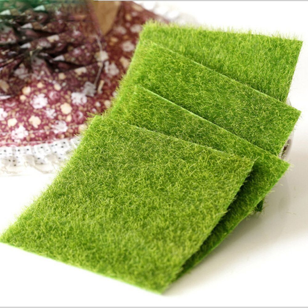 Decoração Ecológica para Jardi - Terrarium Moss Art avaliação e preço