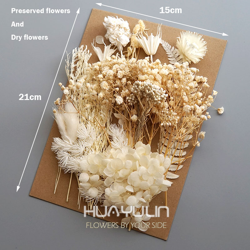 1 pacote de plantas artificiai - Flower Preservation Resin avaliação e preço